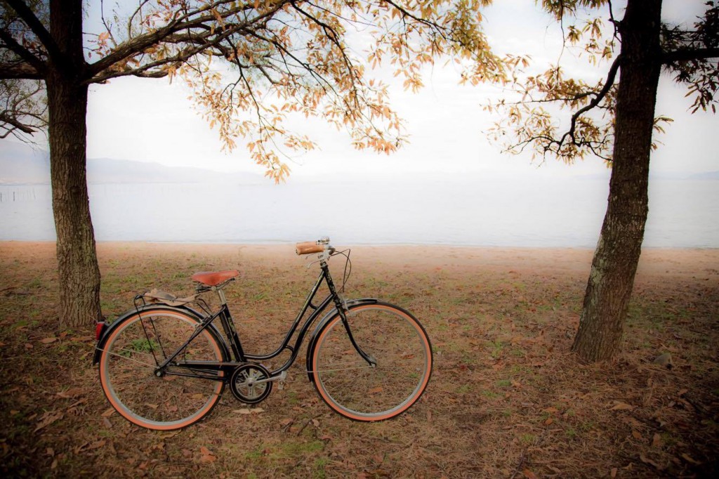 朝霧　自転車